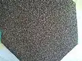 Seeds