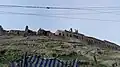 Dilapidated old houses around the Citadel