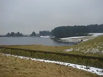 A lake surrounded by trees