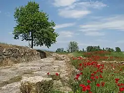 Dion archaeological site in Greece
