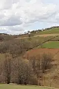 Donje Leskovice - panorama