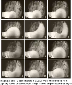 Imaging at true TV scanning rate in ESEM: Water microdroplets from capillary needle on tissue paper. Photos from TV monitor displaying single frames of video recording. Unprocessed BSE signal, field width 380&nbsp;μm.
