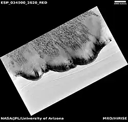North Polar Scarp in Abalos Undae with Basal Exposure and Dunes in black and white with scale