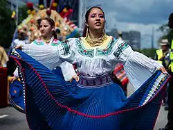 Image 24A woman in Ecuadorian dress participating in the 2010 Carnaval del Pueblo. (from Culture of Ecuador)
