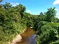 The river near El Cinco district.