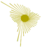 Emblem of ALBA