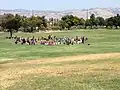 People on a park lawn with mountains in background