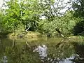 Epping Forest