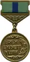 Type 1 medal