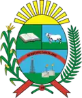 Official seal of Santa Ana Municipality