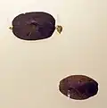 Iron Age, Piceni, Mid-Adriatic and Southern Italian jewellery, c. 800-690 BC, amber vague