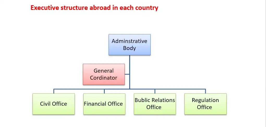 Executive Structure abroad in each country