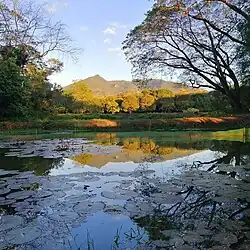 Mt. Arayat seen at PSAU school grounds