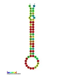 F6: Secondary structure taken from the Rfam database. Family RF01791
