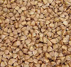 Hulled roasted buckwheat cereal (kasha)