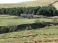 New Laithe farm