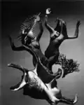 Festival of the Demon