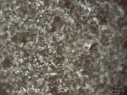 Microscope image depicting many tiny thin translucent crystals