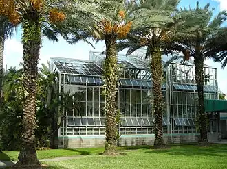A glassy greenhouse structure surrounded by palm trees