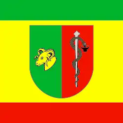 Flag of Yevpatoria Municipality