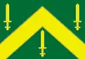 Flag of Campina Grande