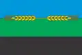 Flag of Bakhmut Raion