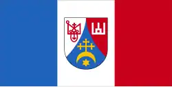 Flag of Brahin district