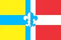 Flag of Brodivskyi Raion