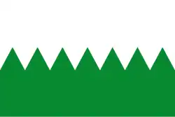 Flag of Carrocera