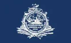 Flag of Charleston