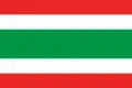 Flag of Jardín