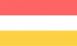 Flag of Jocoro