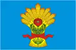 Flag of Kamensky District, Voronezh Oblast