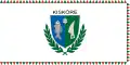 Flag of Kisköre