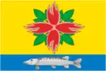 Flag of Kupinsky District