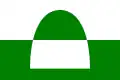 Flag of Příčina