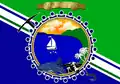 Flag of Pintuyan