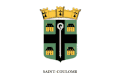 Flag of Saint-Coulomb