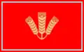 Flag of Sakhnovshchyna Raion