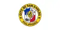 Flag of San Carlos