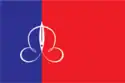 Flag of Shchyolkovsky District