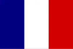 Flag of Madriz