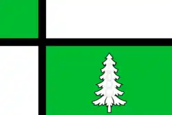 Flag of Tayshet