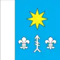 Flag of Velyki Berezhtsi