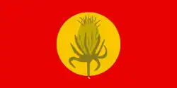 Flag of Vevčani Municipality