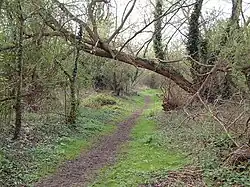 Wraysbury and Hythe End Gravel Pits