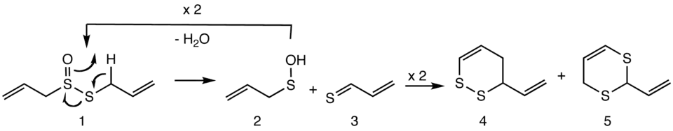 Formation_of_vinyldithiins_from_allicin