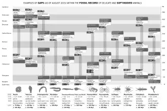 The sporadic nature of the fossil record is reflected in huge gaps spanning a number of epochs.