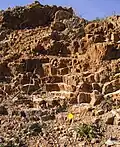 Franciscan chert dominates the barren hill
