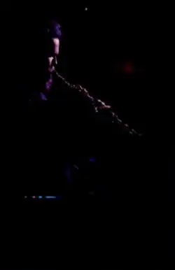 Garth Hudson